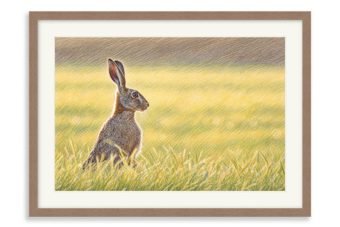 Walnut Frame  A4 -  21 x 29.7 cm (+£130.00)
